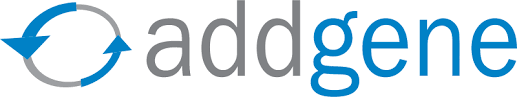 IdV logo